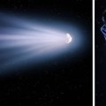 The Difference Between Asteroids and Comets